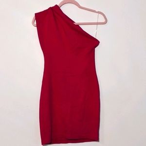 American Apparel Bodycon Dress